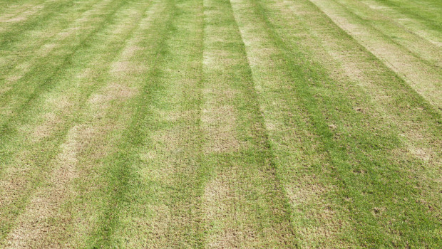 What Your Lawn Is Trying To Tell You About Your Mower